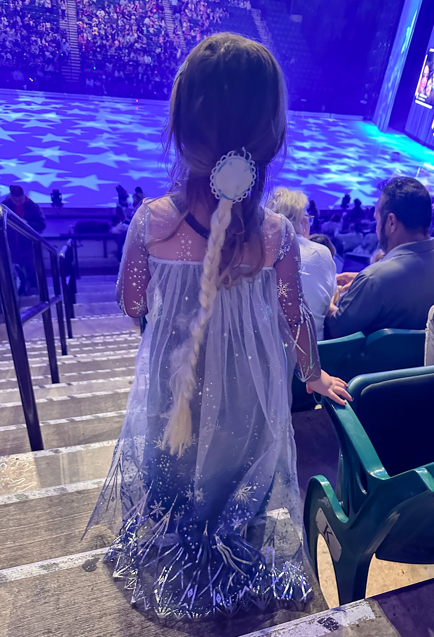 Ice Princess Dress